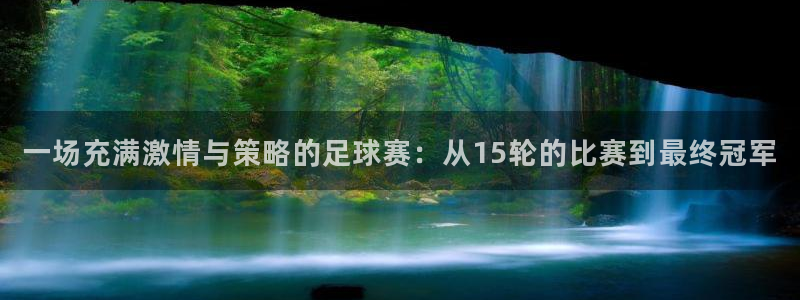  一场充满激情与策略的足球赛：从15轮的比赛到最终冠军