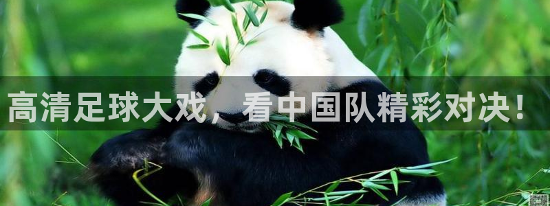 高清足球大戏，看中国队精彩对决！