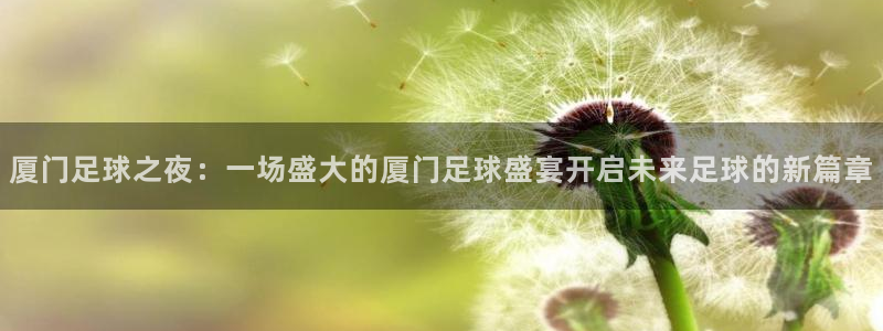  厦门足球之夜：一场盛大的厦门足球盛宴开启未来足球的新篇章