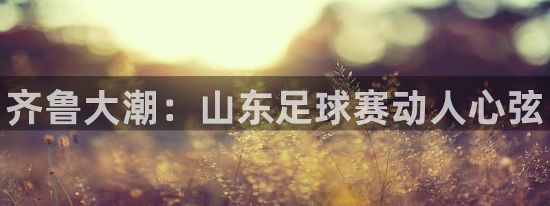  齐鲁大潮：山东足球赛动人心弦