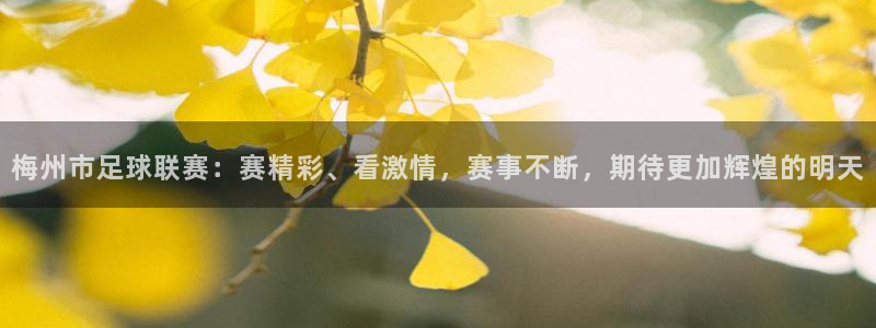 梅州市足球联赛：赛精彩、看激情，赛事不断，期待更加辉煌的明天