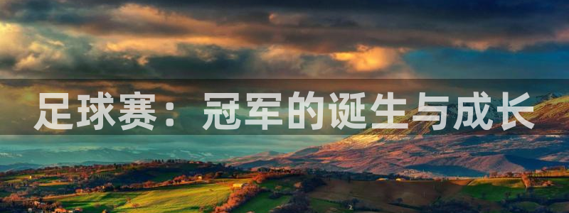 足球赛：冠军的诞生与成长