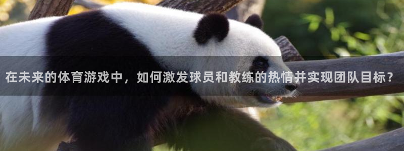 在未来的体育游戏中，如何激发球员和教练的热情并实现团队目标？