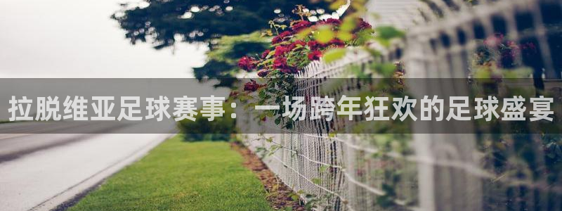 拉脱维亚足球赛事：一场跨年狂欢的足球盛宴