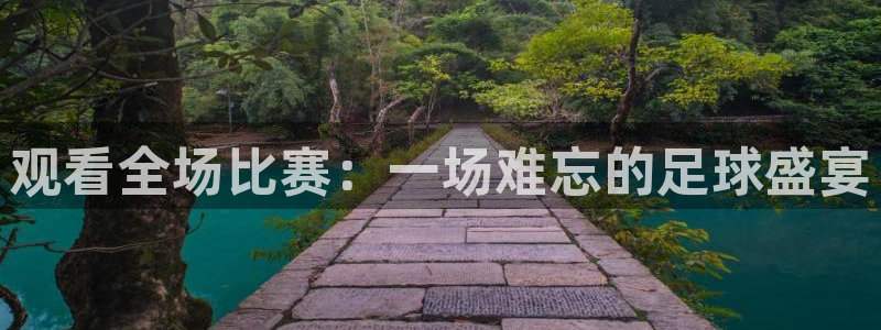  观看全场比赛：一场难忘的足球盛宴