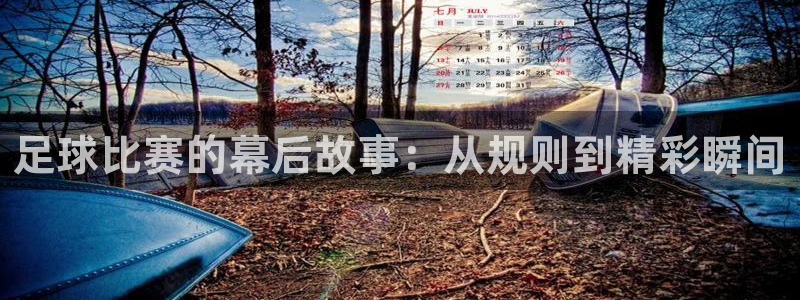  足球比赛的幕后故事：从规则到精彩瞬间