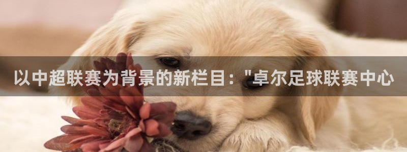 以中超联赛为背景的新栏目：\