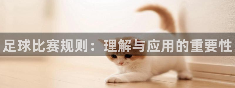  足球比赛规则：理解与应用的重要性