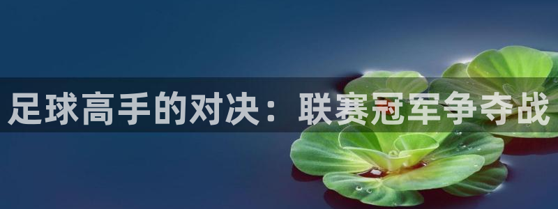 足球高手的对决：联赛冠军争夺战