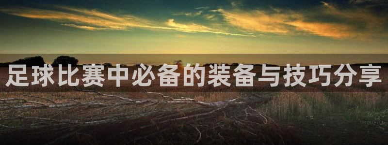 足球比赛中必备的装备与技巧分享