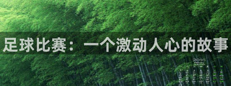 足球比赛：一个激动人心的故事
