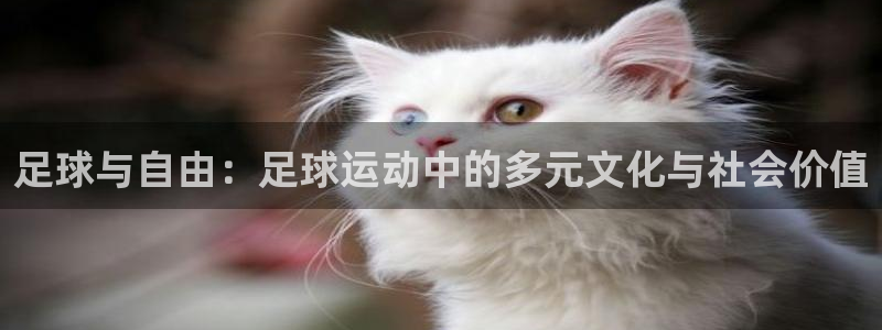 足球与自由：足球运动中的多元文化与社会价值