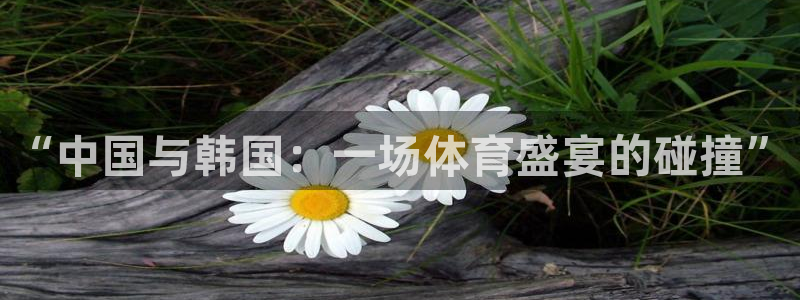 “中国与韩国：一场体育盛宴的碰撞”