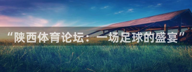 “陕西体育论坛：一场足球的盛宴”