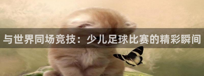  与世界同场竞技：少儿足球比赛的精彩瞬间