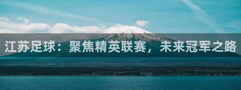 江苏足球：聚焦精英联赛，未来冠军之路