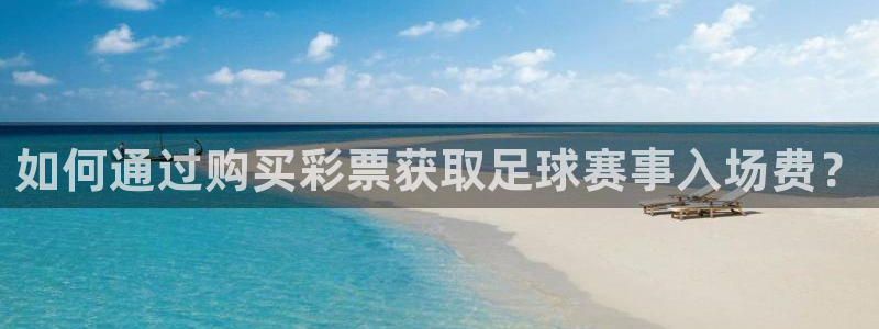 如何通过购买彩票获取足球赛事入场费？