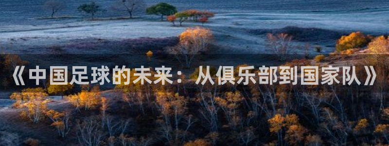  《中国足球的未来：从俱乐部到国家队》