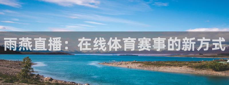 雨燕直播：在线体育赛事的新方式