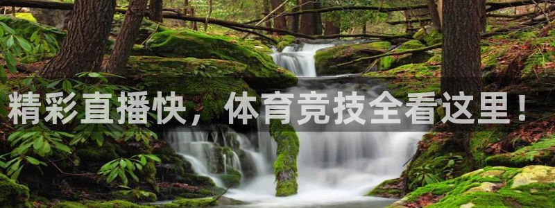精彩直播快，体育竞技全看这里！