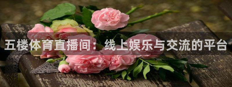 五楼体育直播间：线上娱乐与交流的平台