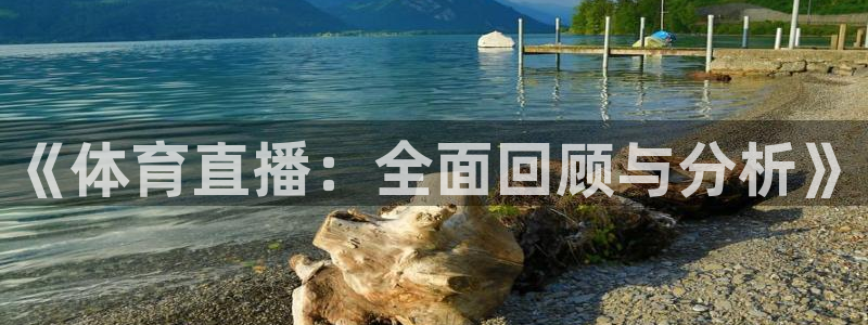 《体育直播：全面回顾与分析》