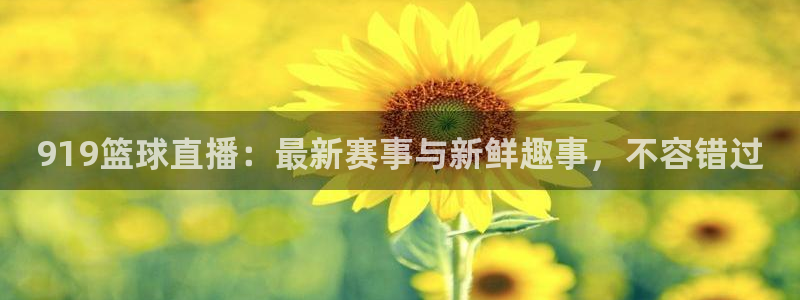 919篮球直播：最新赛事与新鲜趣事，不容错过