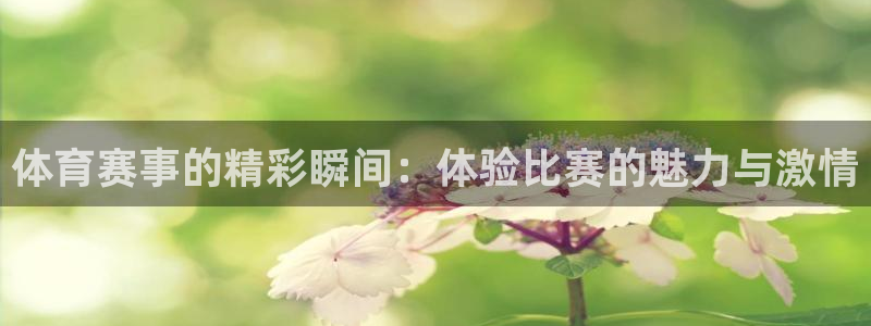 体育赛事的精彩瞬间：体验比赛的魅力与激情