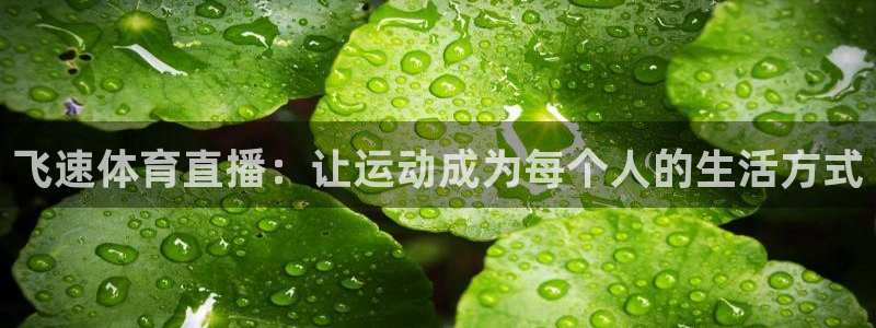 飞速体育直播：让运动成为每个人的生活方式