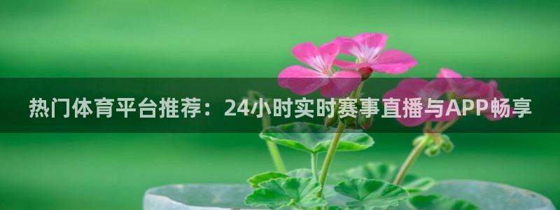 nba88看球直播在线观看：热门体育平台推荐：24小时实时赛事直播与APP畅享