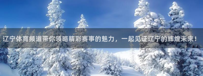 88看球体育直播：辽宁体育频道带你领略精彩赛事的魅力，一起见证辽宁的辉煌未来！