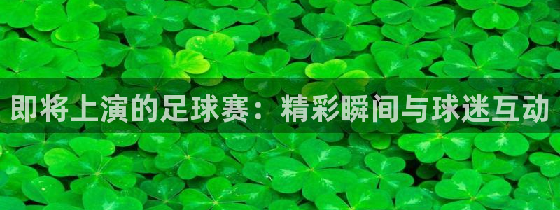 即将上演的足球赛：精彩瞬间与球迷互动