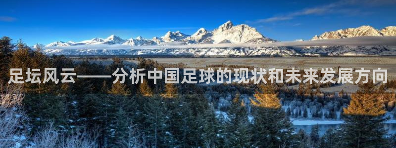 足坛风云——分析中国足球的现状和未来