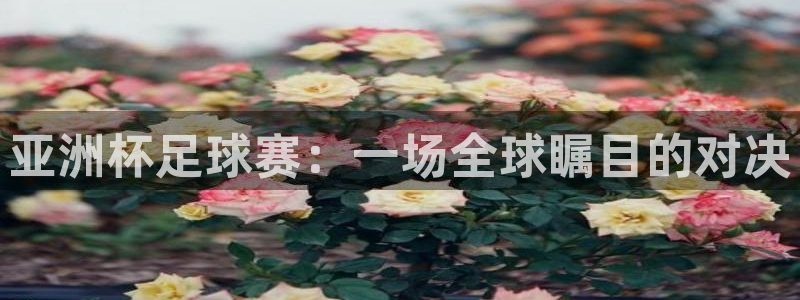 亚洲杯足球赛：一场全球瞩目的对决