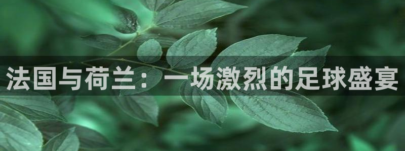 法国与荷兰：一场激烈的足球盛宴