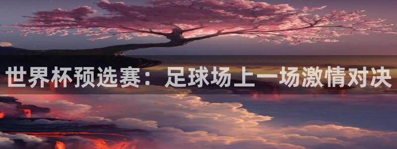 世界杯预选赛：足球场上一场激情对决