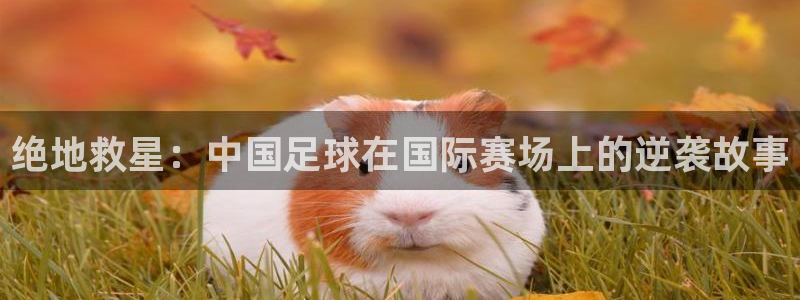 绝地救星：中国足球在国际赛场上的逆袭