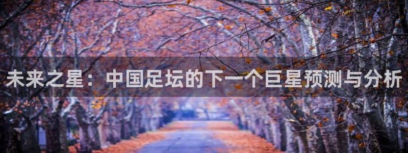 未来之星：中国足坛的下一个巨星预测与