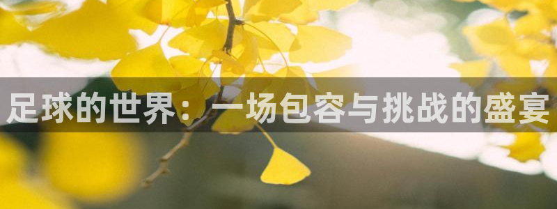 足球的世界：一场包容与挑战的盛宴