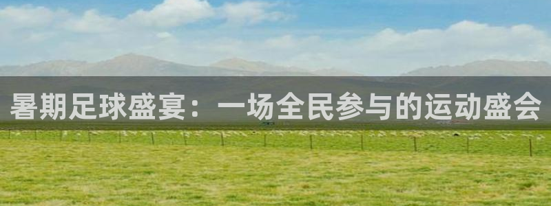 暑期足球盛宴：一场全民参与的运动盛会