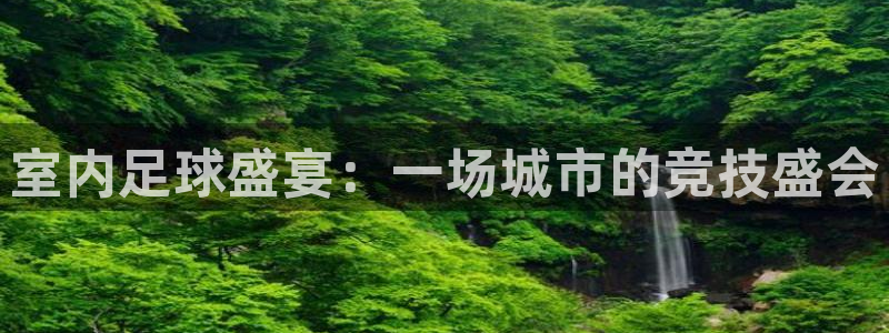 室内足球盛宴：一场城市的竞技盛会