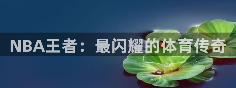 88看球nba直播间