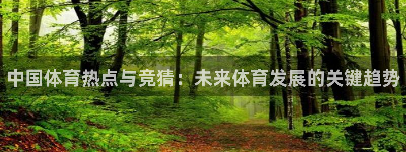88看球直播网：中国体育热点与竞猜：未来体育发展的关键趋势
