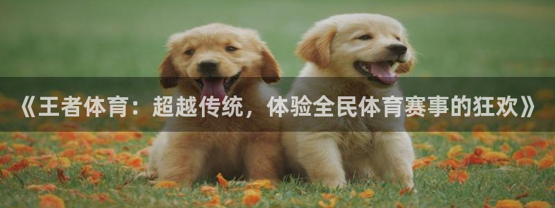 88看球篮球直播：《王者体育：超越传统，体验全民体育赛事的狂欢》