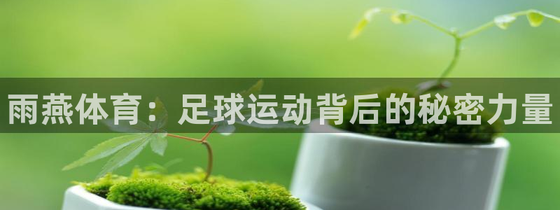 88看球nba直播免费下载：雨燕体育：足球运动背后的秘密力量