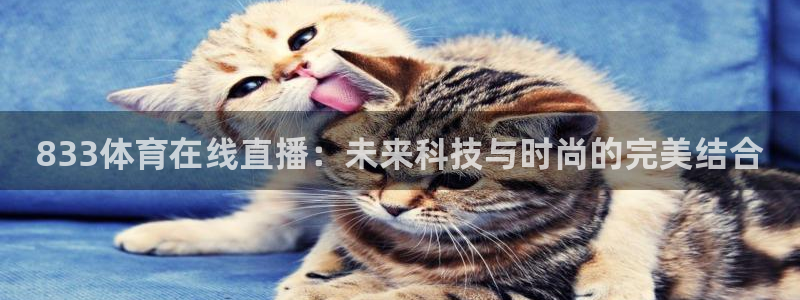 www.88看球：833体育在线直播：未来科技与时尚的完美结合